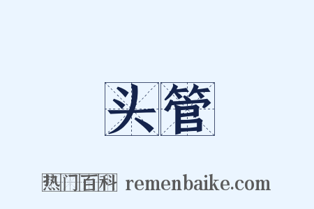 头管是什么意思的图片
